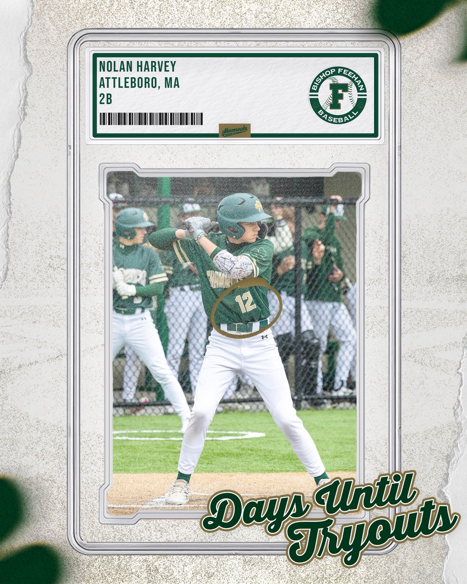 Bishop Feehan HS Baseball ☘️⚾️📈 tweet media