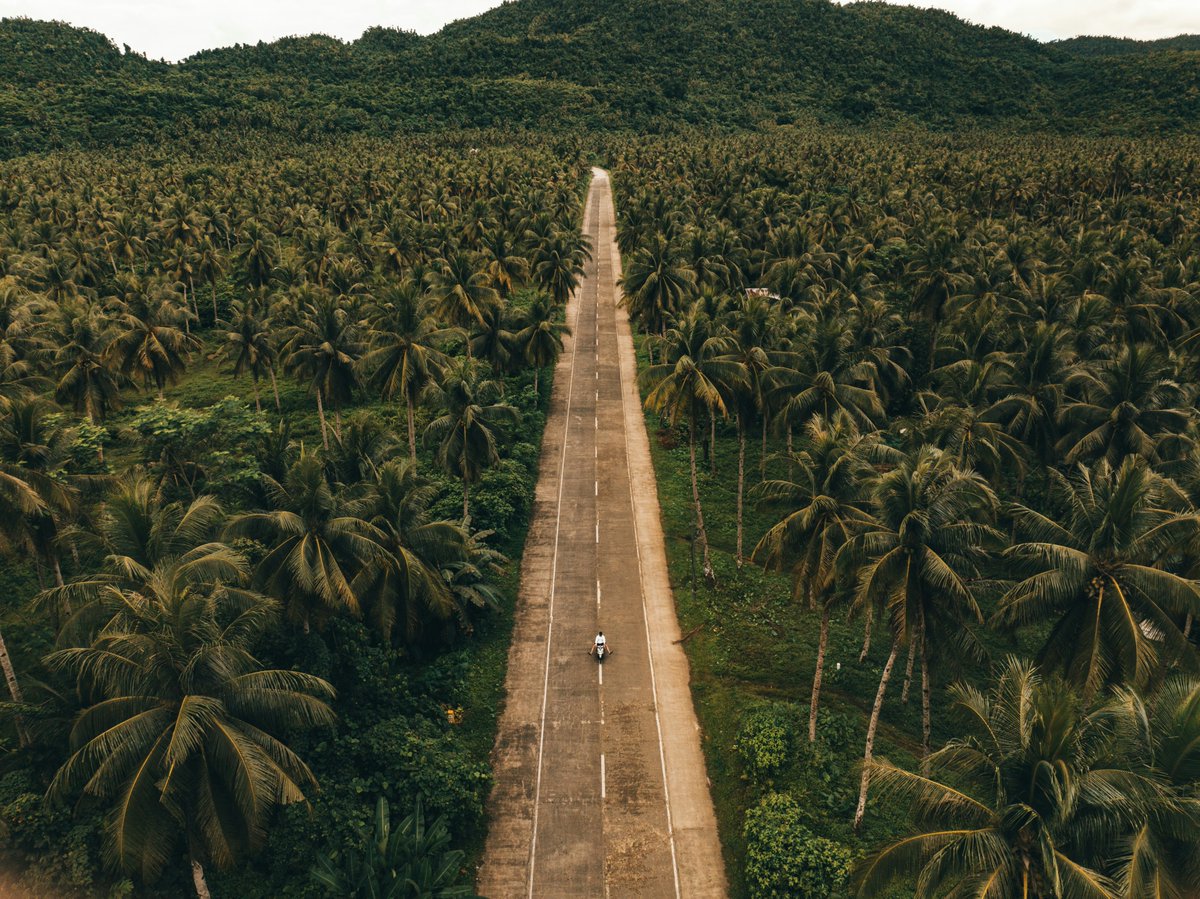 Wonceptual tweet media