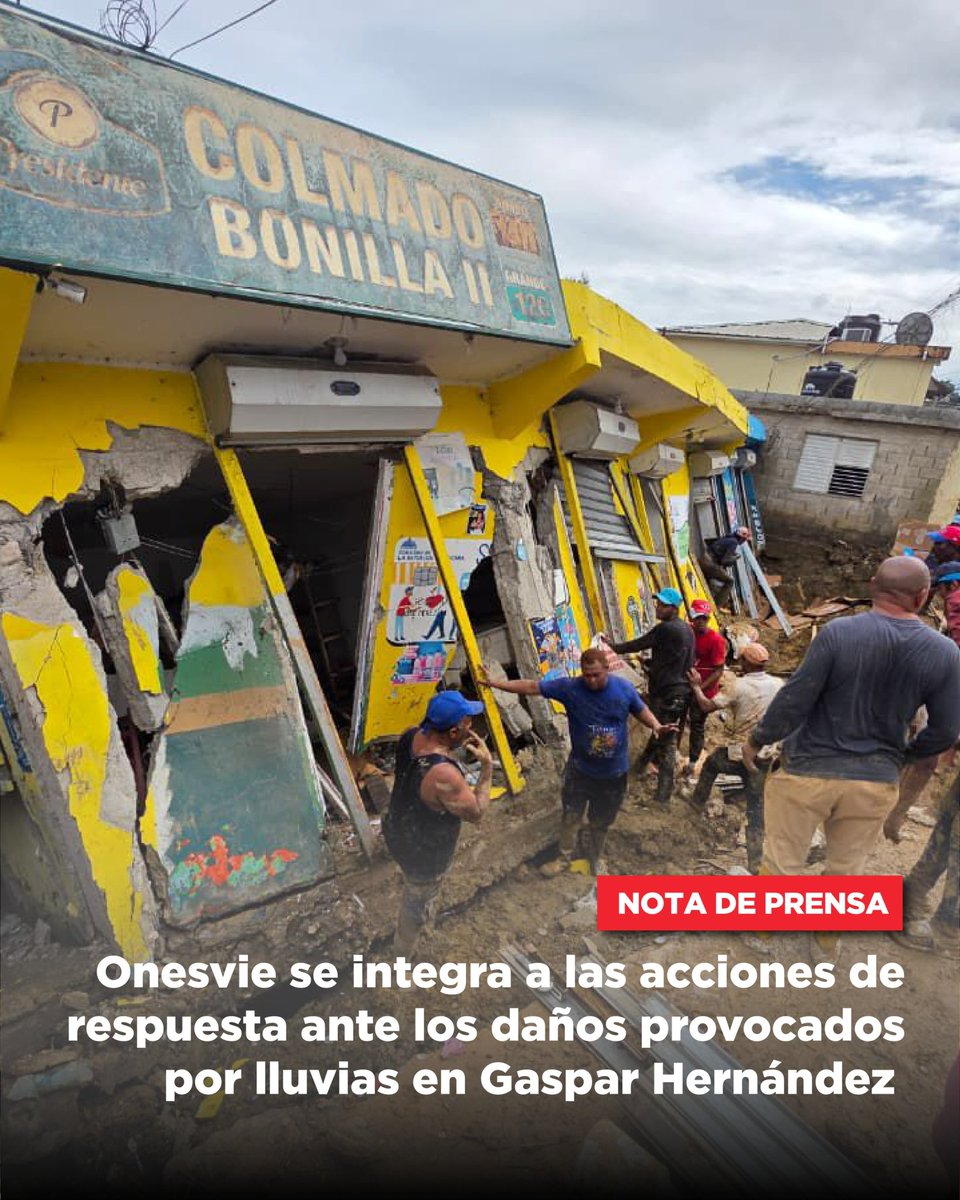 OnesvieRD tweet media