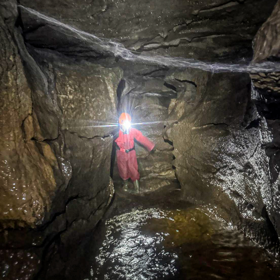 Marden High School tweet media