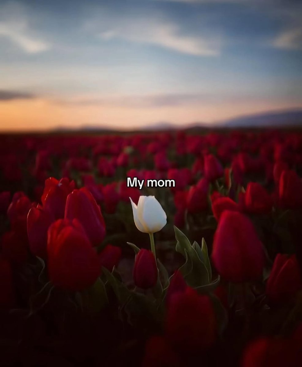 If you're proud of your Mom. Repost this.