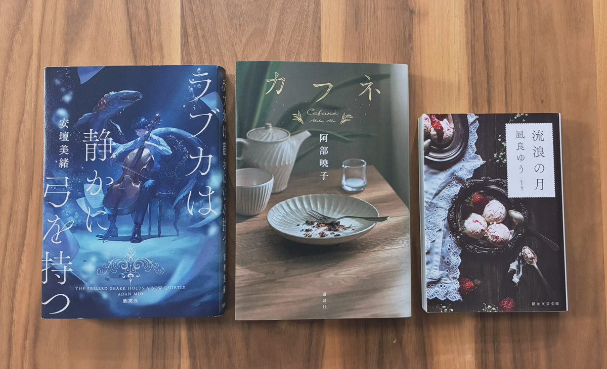 私はこう言う男男、女女、男女小説が読みたいんだ。
恋愛とか友情とかのラベリングができない。
でも他の誰とも代えがきかない。みたいな。