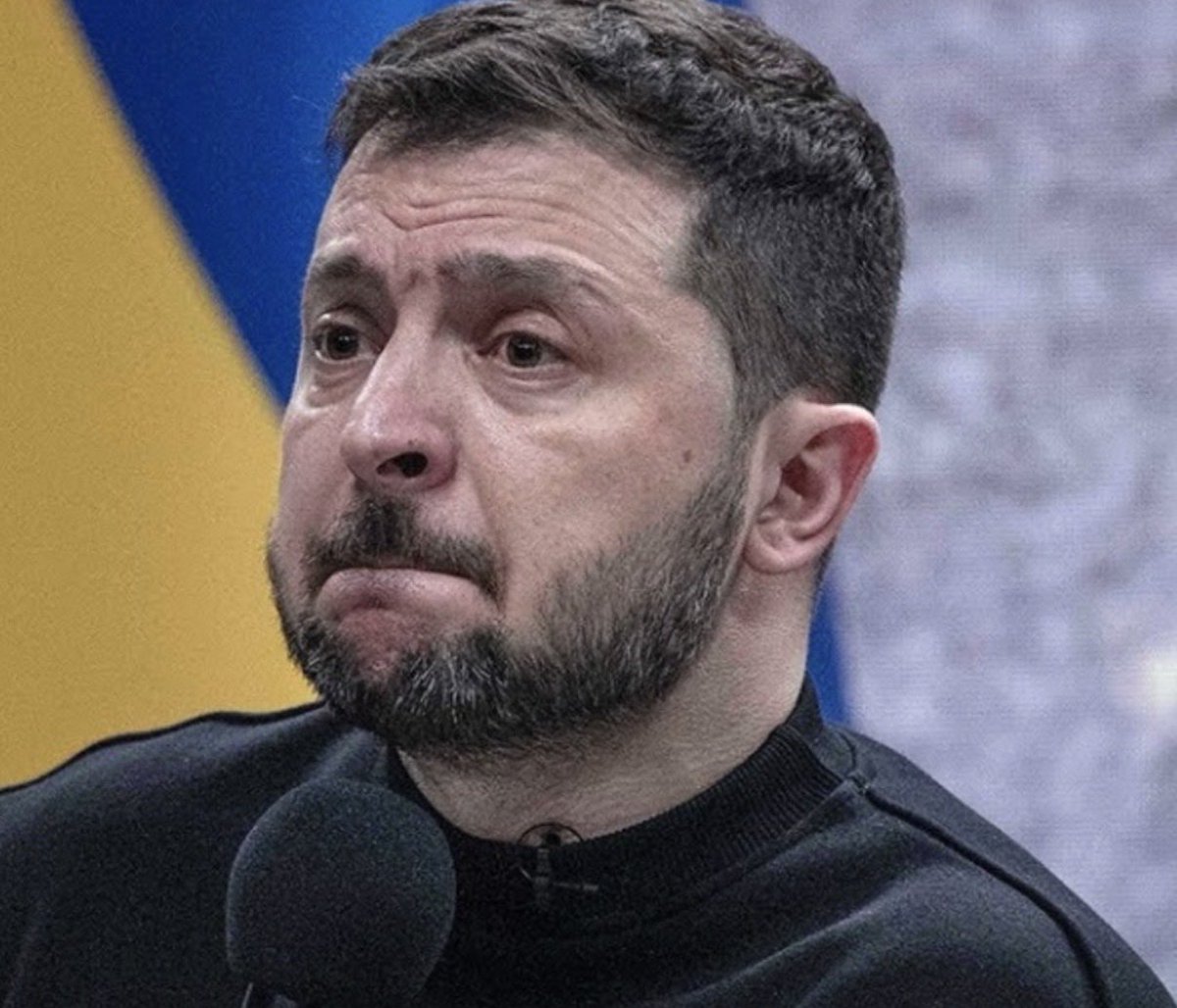 Michael 🇩🇪 tweet media