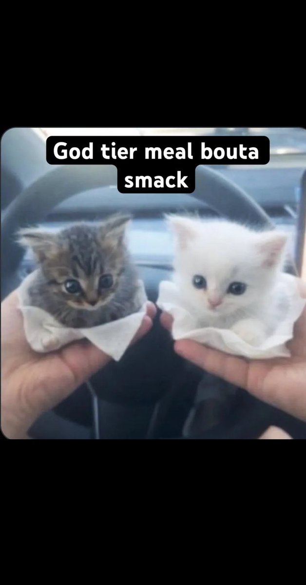 300 wasps tweet media