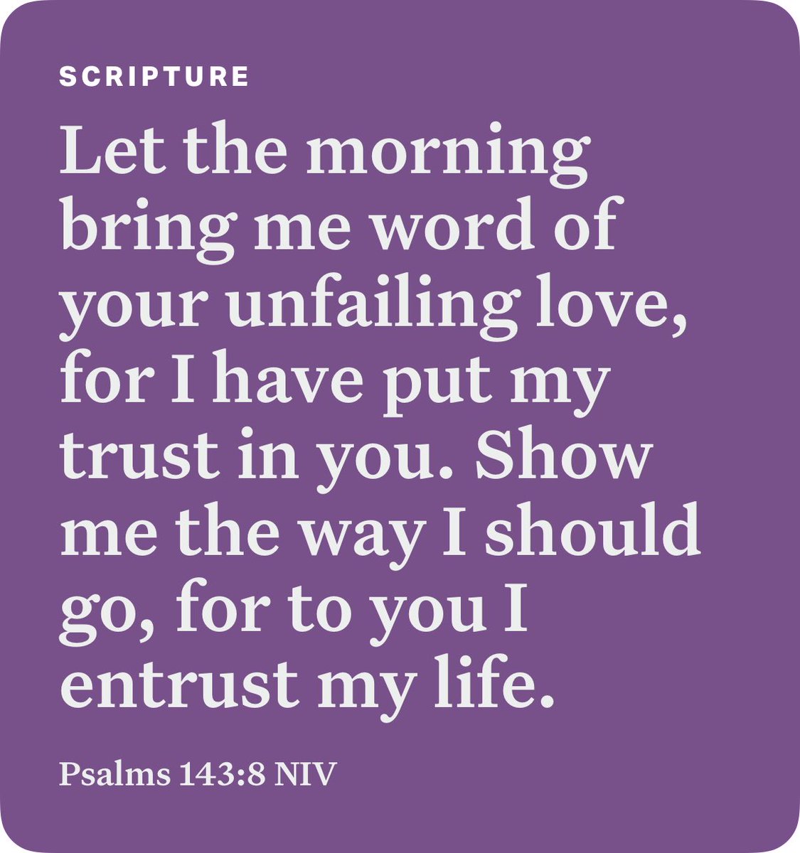 Craig Connor tweet media