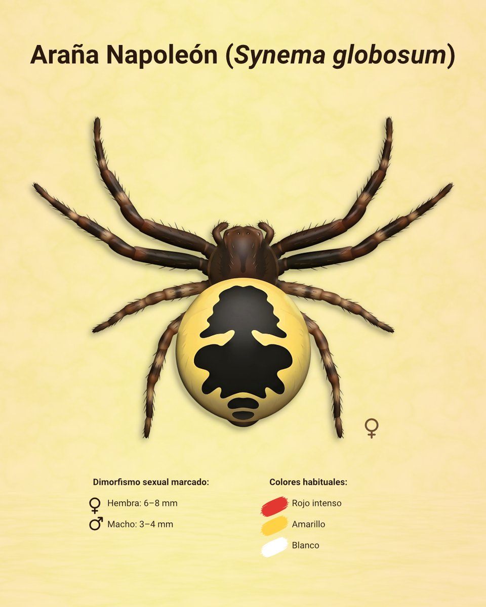 David Delgado tweet media