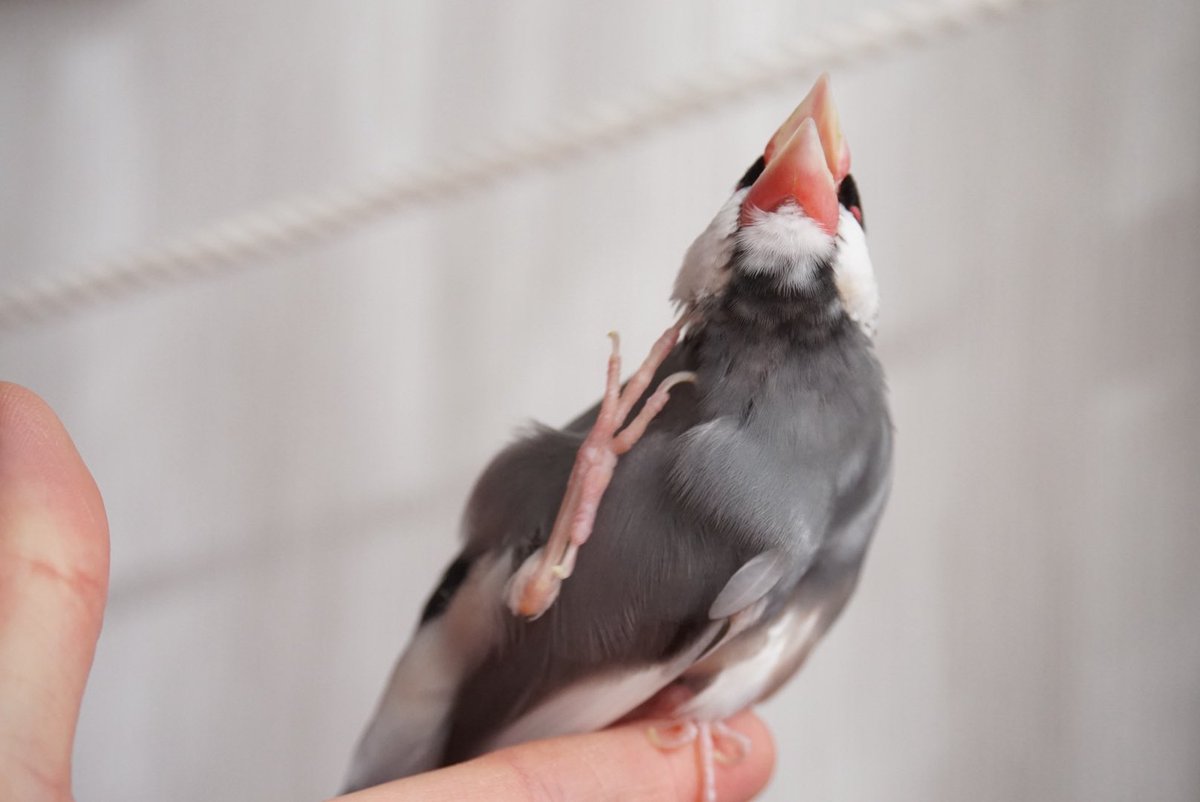 ああああああーーー