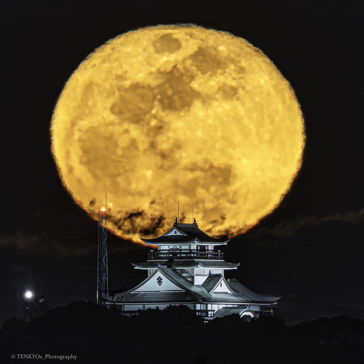 天京@Photography tweet media