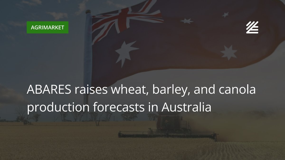 UkrAgroConsult's tweet image. 🇦🇺 ABARES raises #wheat, #barley, and #canola production forecasts in #Australia

Wheat production projections to 36 mln tons, barley to a record 16.3 mln tons, and canola to 7.7 mln tons.

Read more 👉clipr.cc/t5FdV
