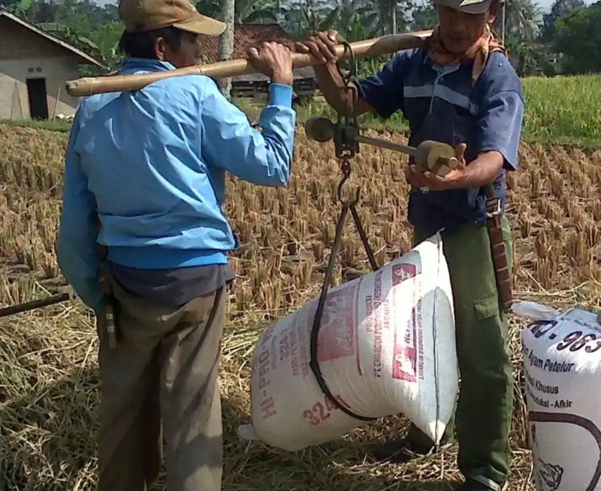 Di kira timbangan njir