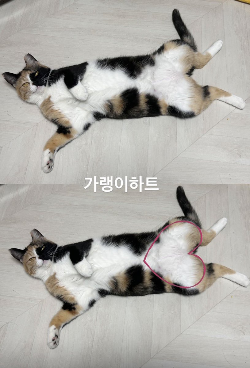 박쫑쫑 ₊˚ʚ 🎀 ₊˚✧゚. tweet media
