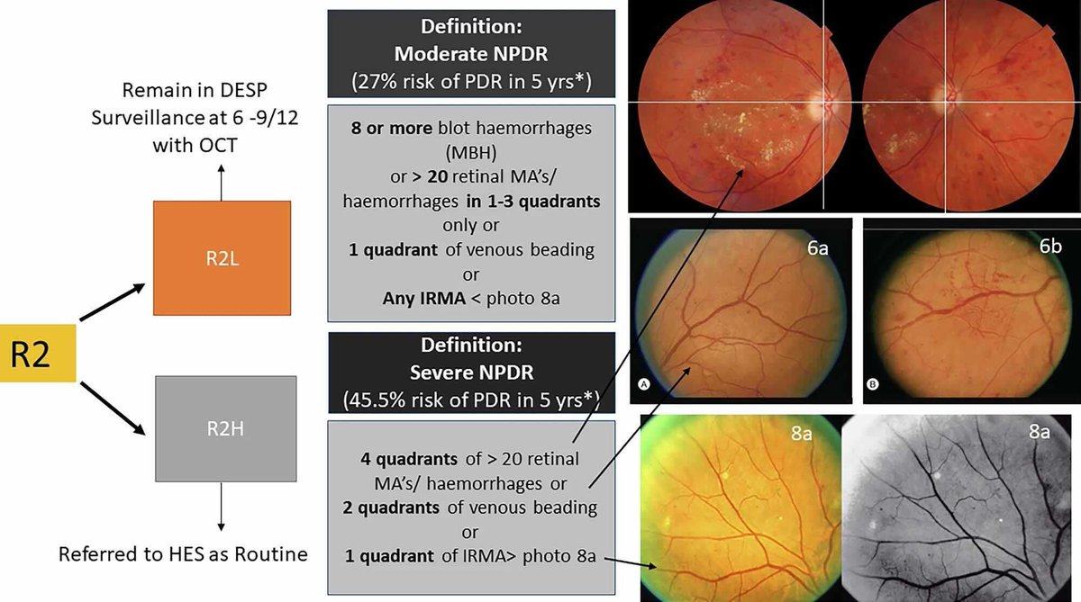 Eye Journal tweet media