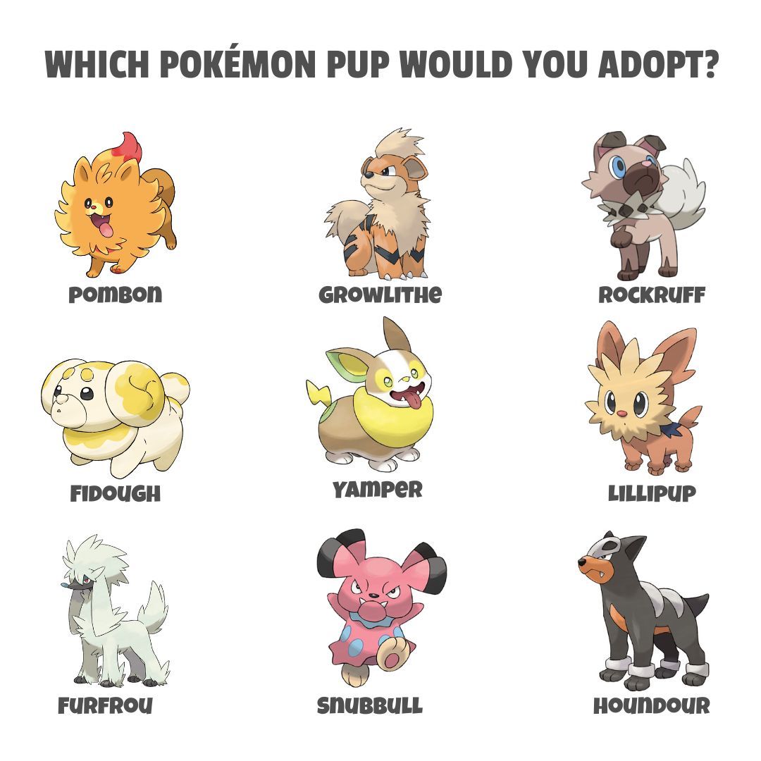 Meccha Japan tweet media