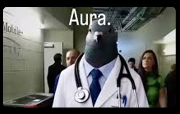 DWDR tweet media