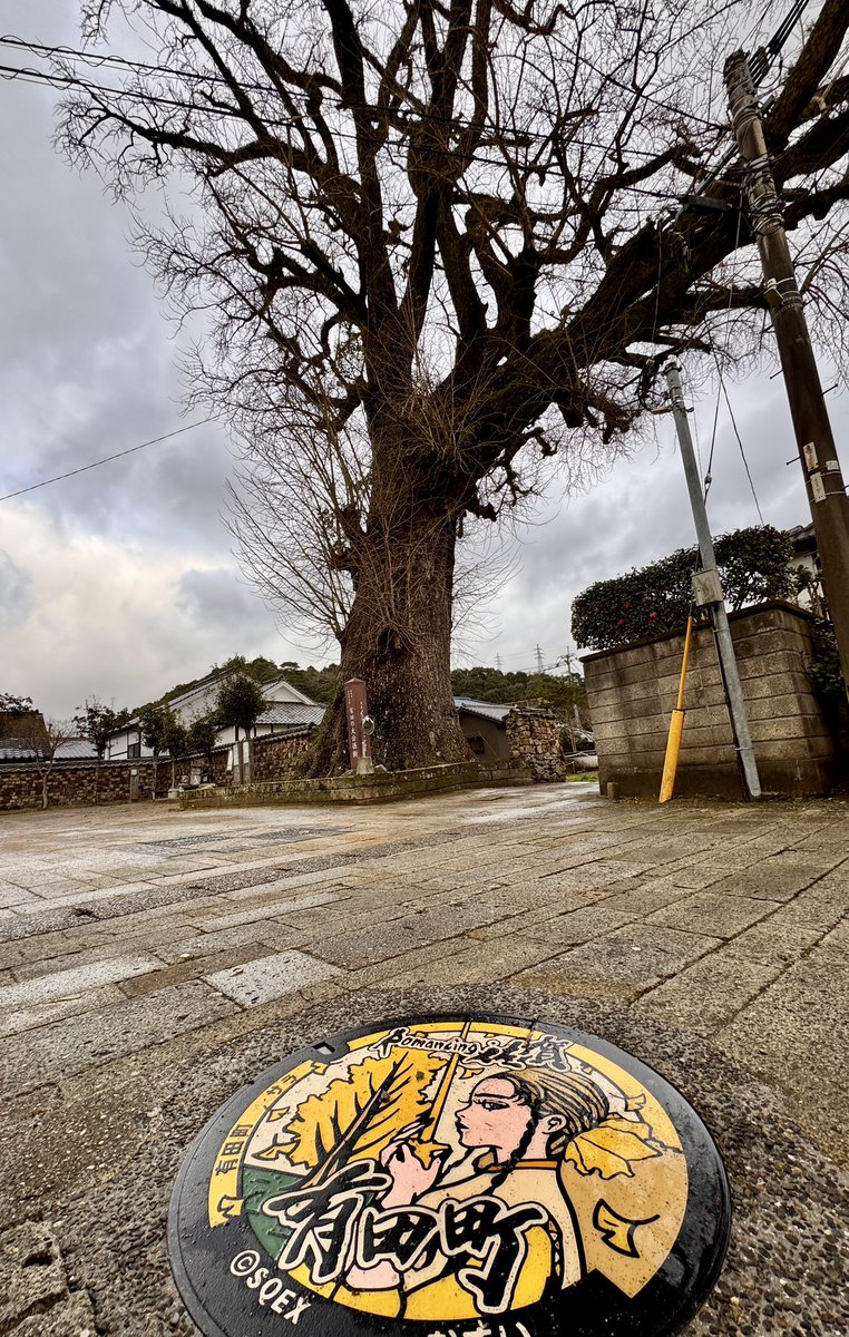 佐賀県→ロマ佐賀行ってきた✨列車もタイミングあれば見たい😍
佐賀は棚田が凄く多い→風景好きな人はきっと好き✨
佐賀弁は熊本弁と似てるけどビミョーに違う。
④樹齢1000年超えの大銀杏。物凄く巨大😳✨✨