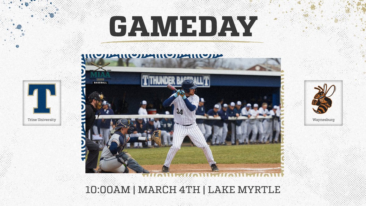 Trine Baseball tweet media