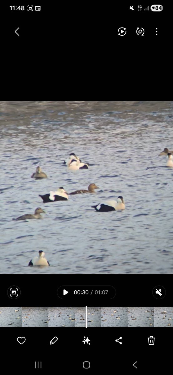 Marc Mc Loughlin tweet media