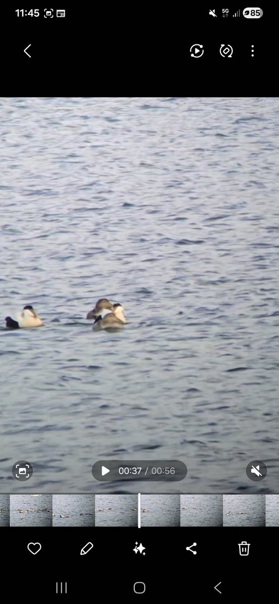 Marc Mc Loughlin tweet media