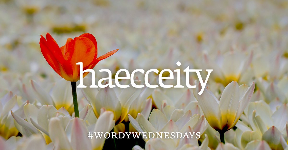 Collins Dictionary tweet media