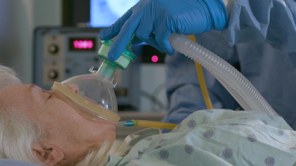 🇺🇸🦠 Aux U.S., entre le 1er juillet 2024 et le 30 juin 2025 : 
#VRS : 190 000 à 350 000 hospitalisations et 10 000 à 23 000 décès.
#COVID-19 : 290 000 à 450 000 hospitalisations et 34 000 à 53 000 décès.

ow.ly/jArC50YoRHE