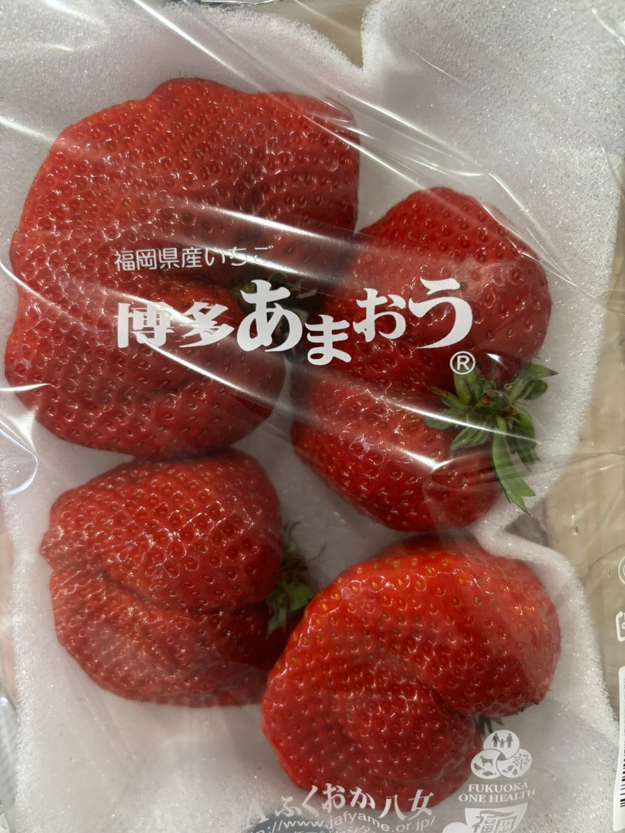 でかい　一個で普通のいちご３つ分くらいあった