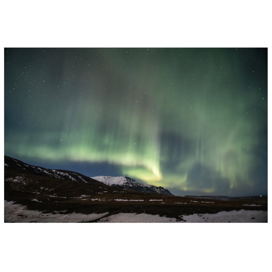 SheClicks tweet media