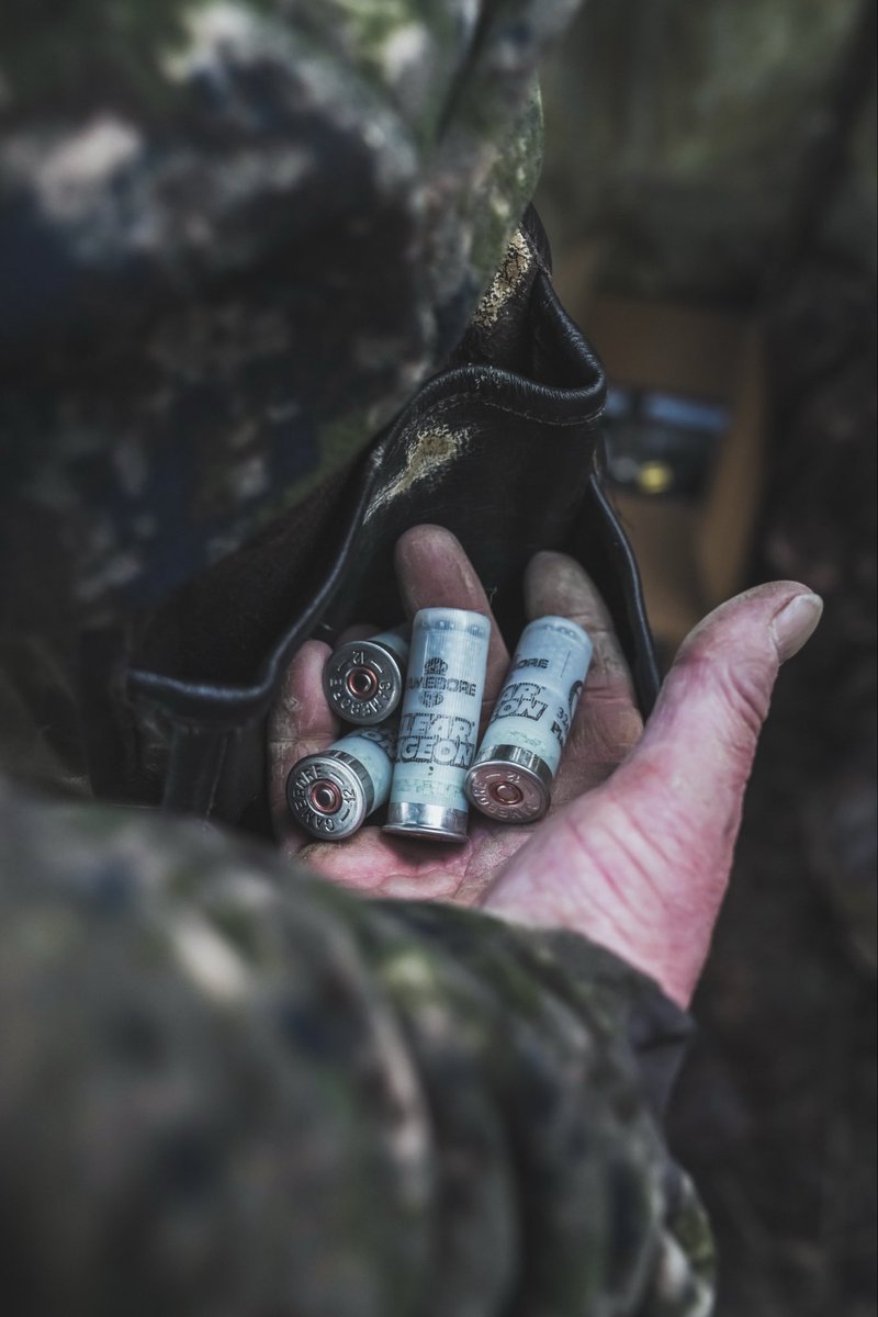 Gamebore Cartridges tweet media