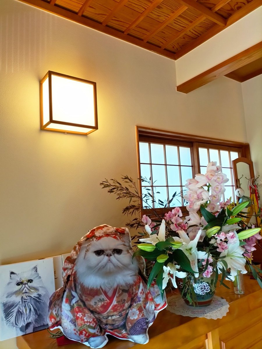 zJon97bsAUClG6F's tweet photo. 今月もよろしくお願いいたします😊お正月にトムトムさんが創作してくれたマリ気に入ってクッション作った😻ありがとう😻🥰💕 https://t.co/WyOnXwlHo7