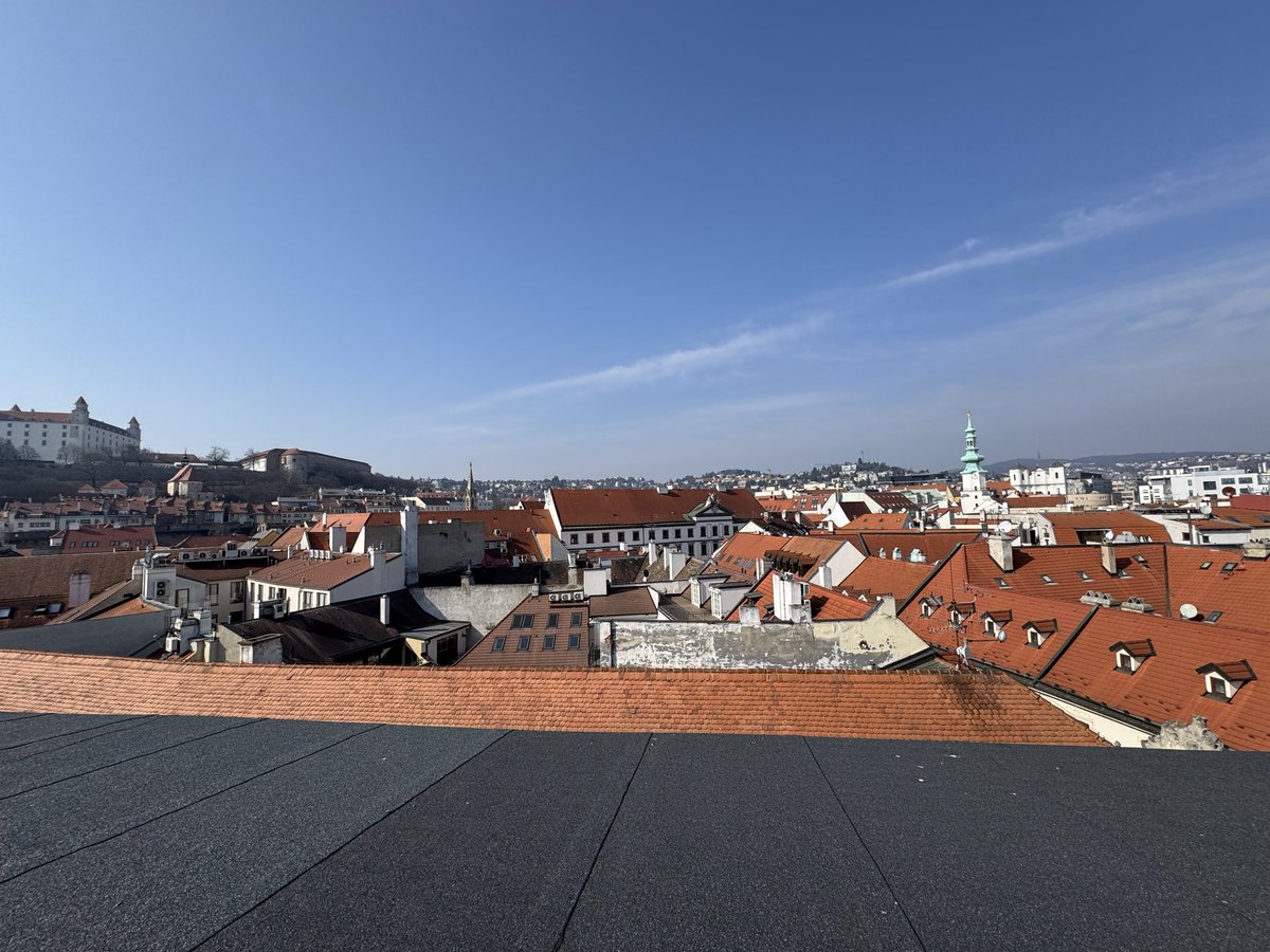 freshlyfe X lava boi tweet media