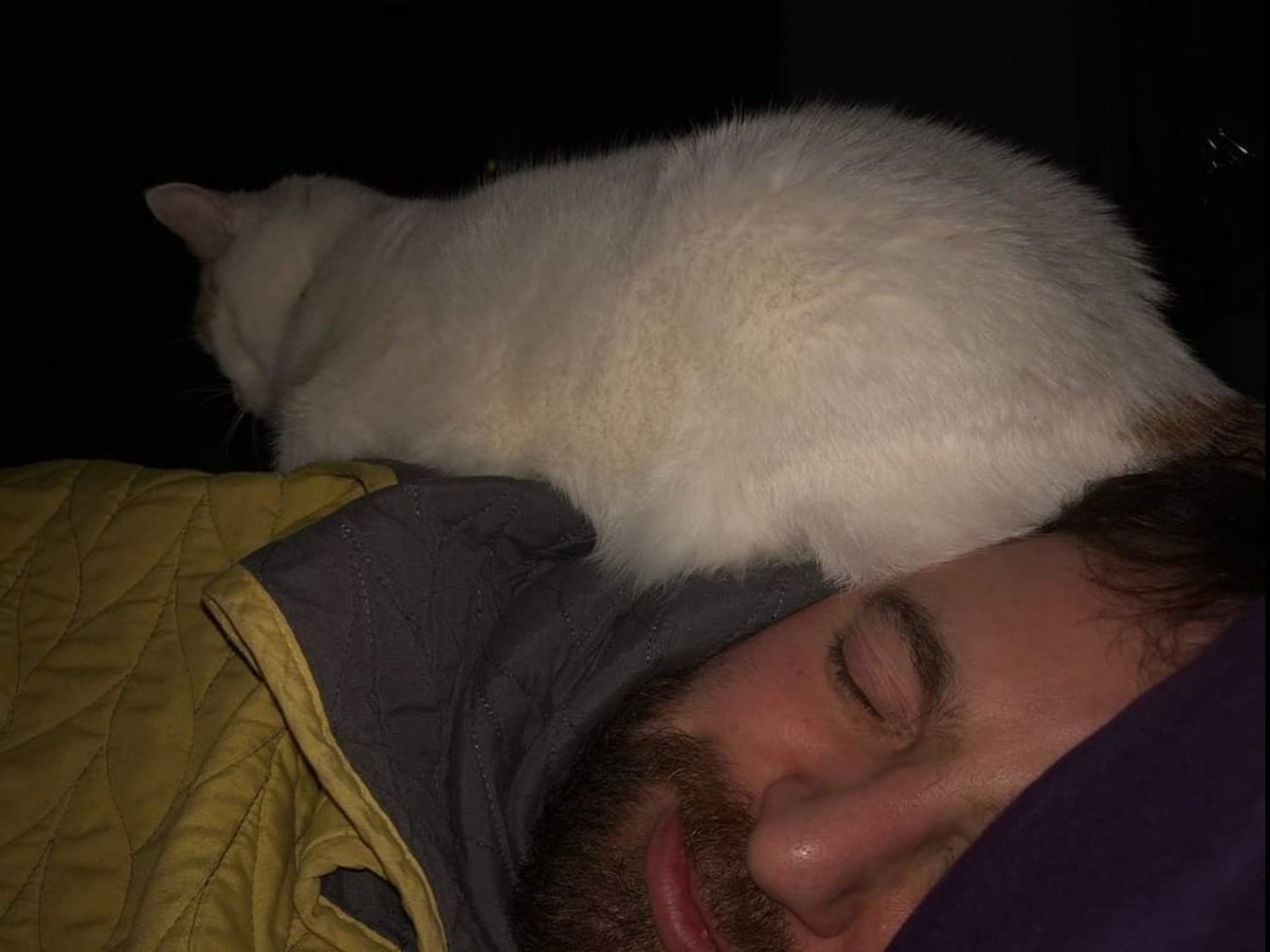 Gary Oransky 芸理 tweet media