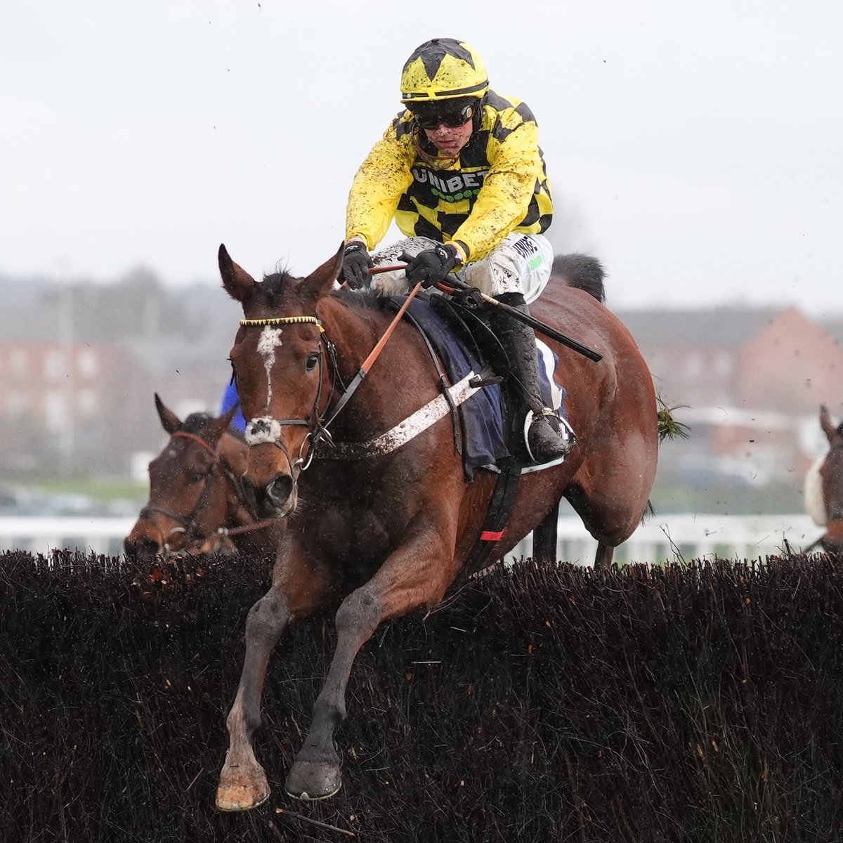 At The Races tweet media