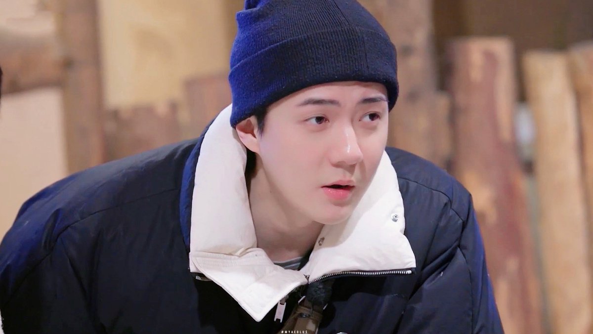 ᴀᴇᴏʟᴜs tweet media