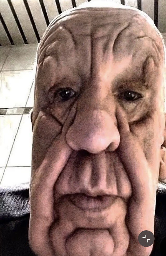 Flyingbird tweet media