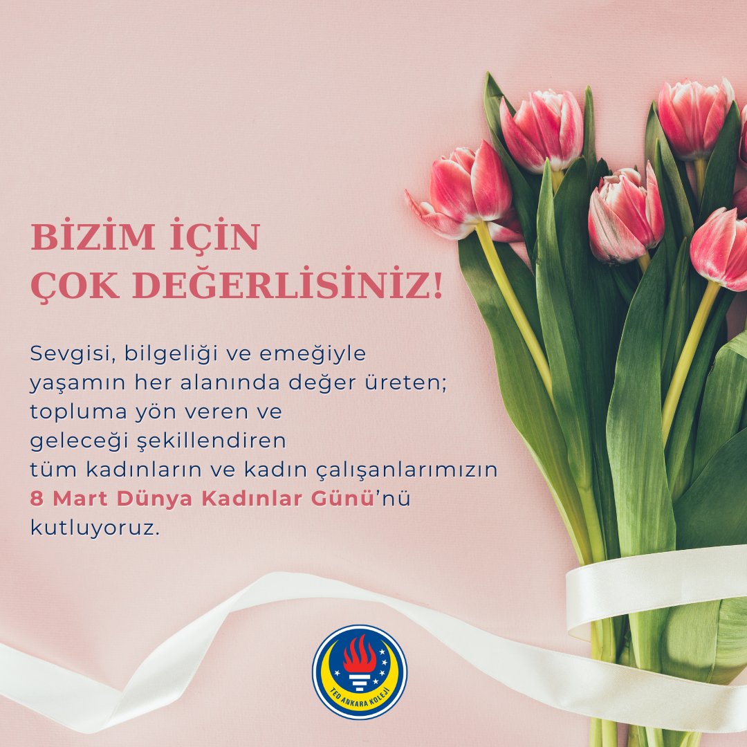 TED Ankara Koleji tweet media