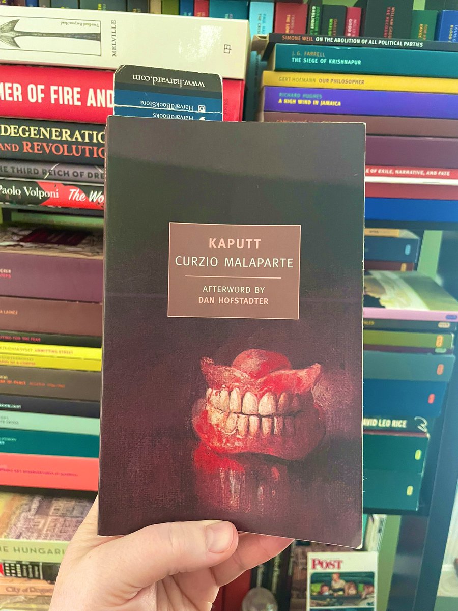 Adam P. Coulter tweet media