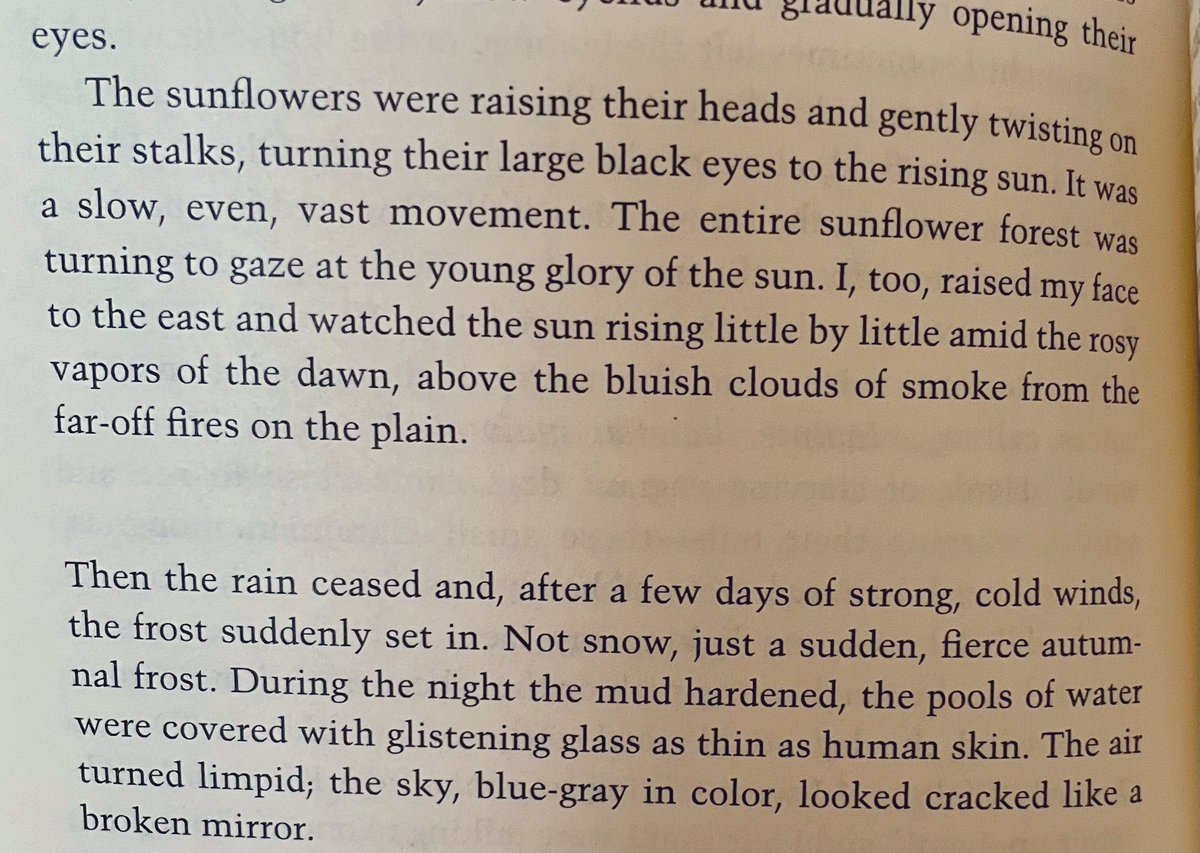 Adam P. Coulter tweet media