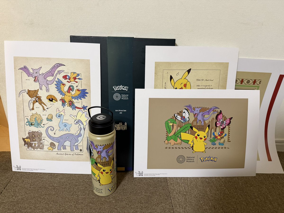 ロンドンから展示グッズが届きました😆✨ #ロンドン自然史博物館