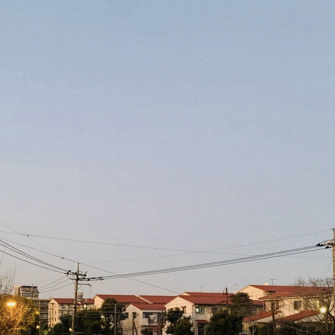 emu town tweet media