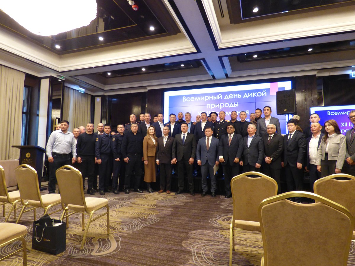 Snow Leopard Foundation in Kyrgyzstan tweet media