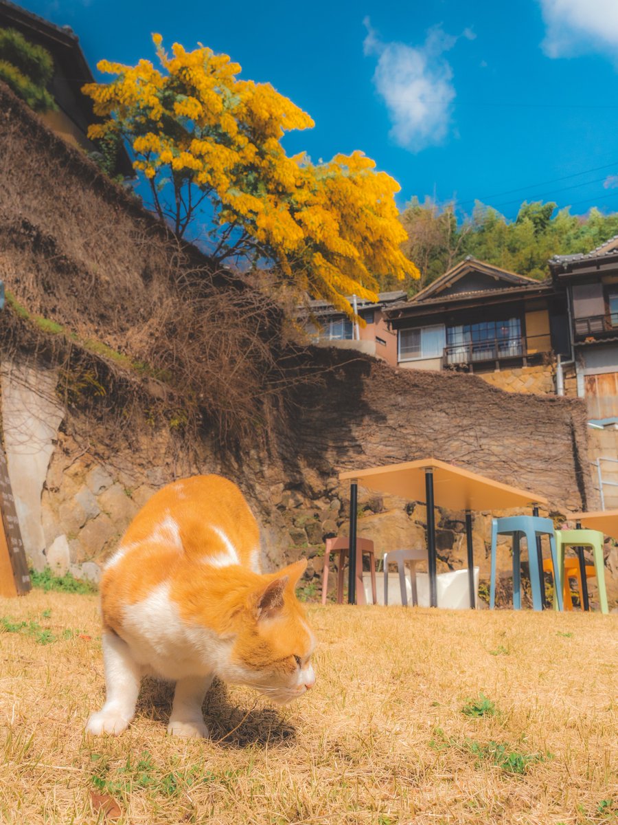 気になる春が、ここから始まる.