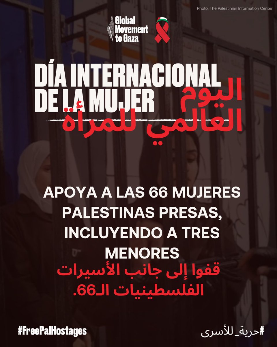 GlobalSumudSpain tweet media