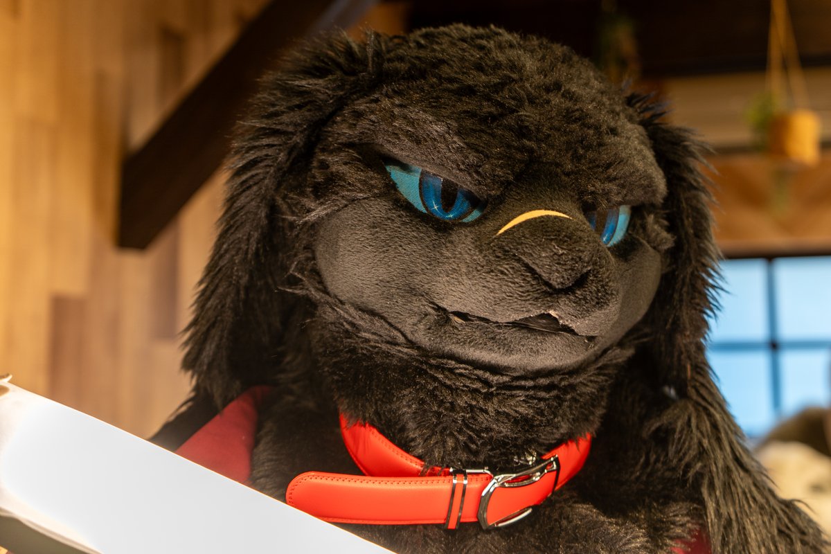 シンスター@Ragorth tweet media