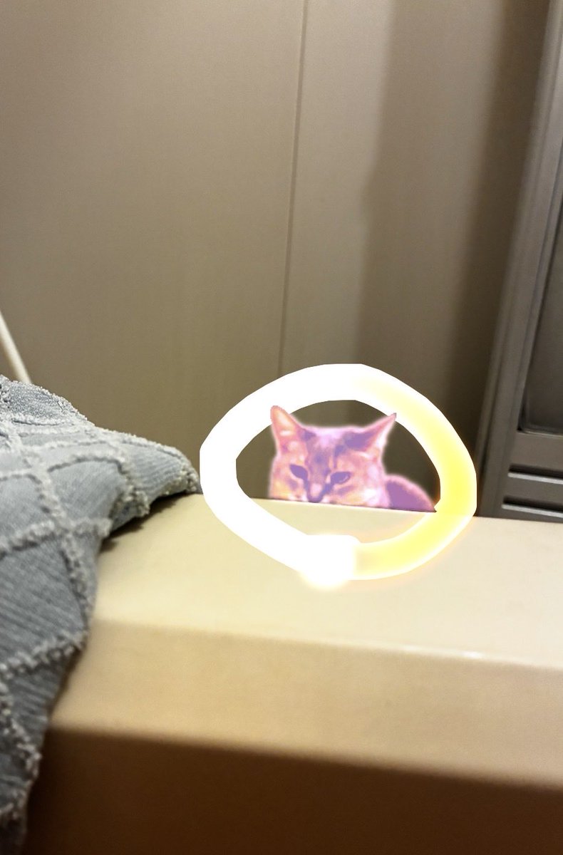 moribon2019's tweet photo. 消しゴム機能で消える瞬間の猫 https://t.co/MPSKGj1Y9i