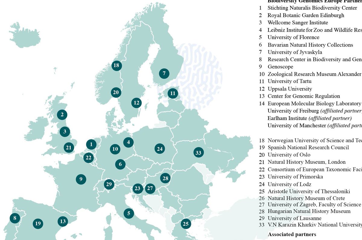 RIO Journal tweet media