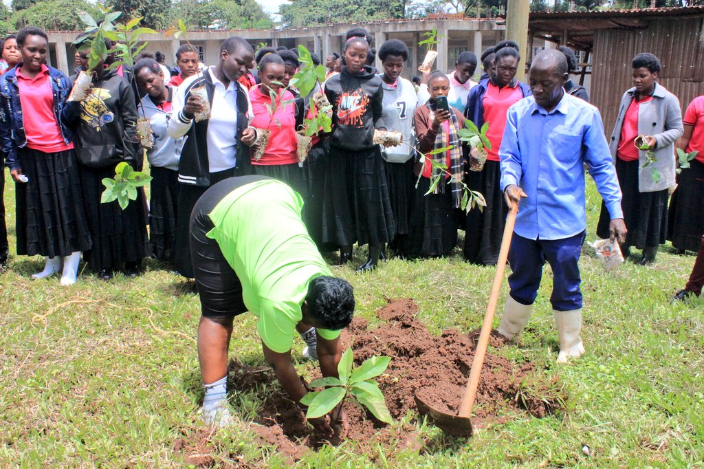 NARO_MUZARDI tweet media