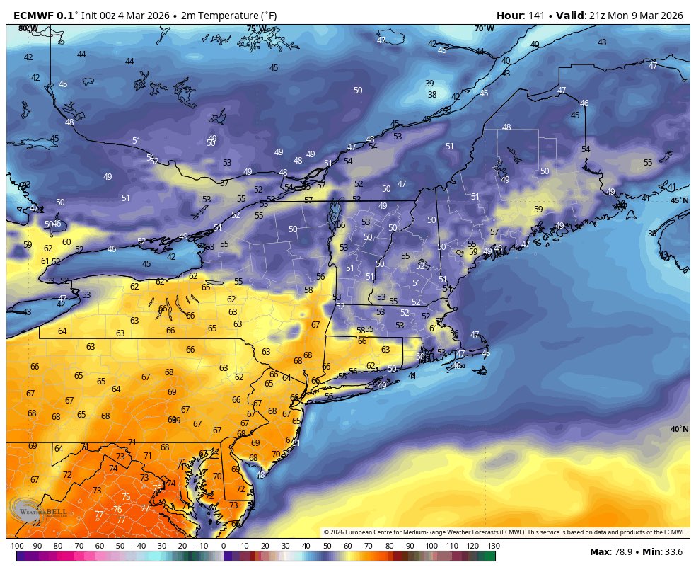 New York Metro Weather tweet media