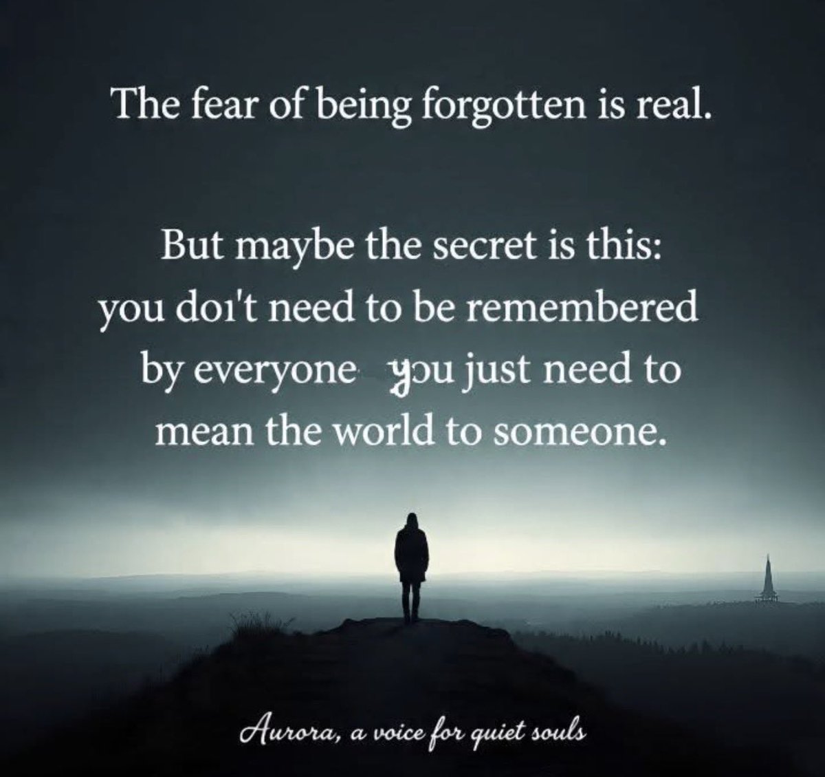 🇻🇮 tweet media