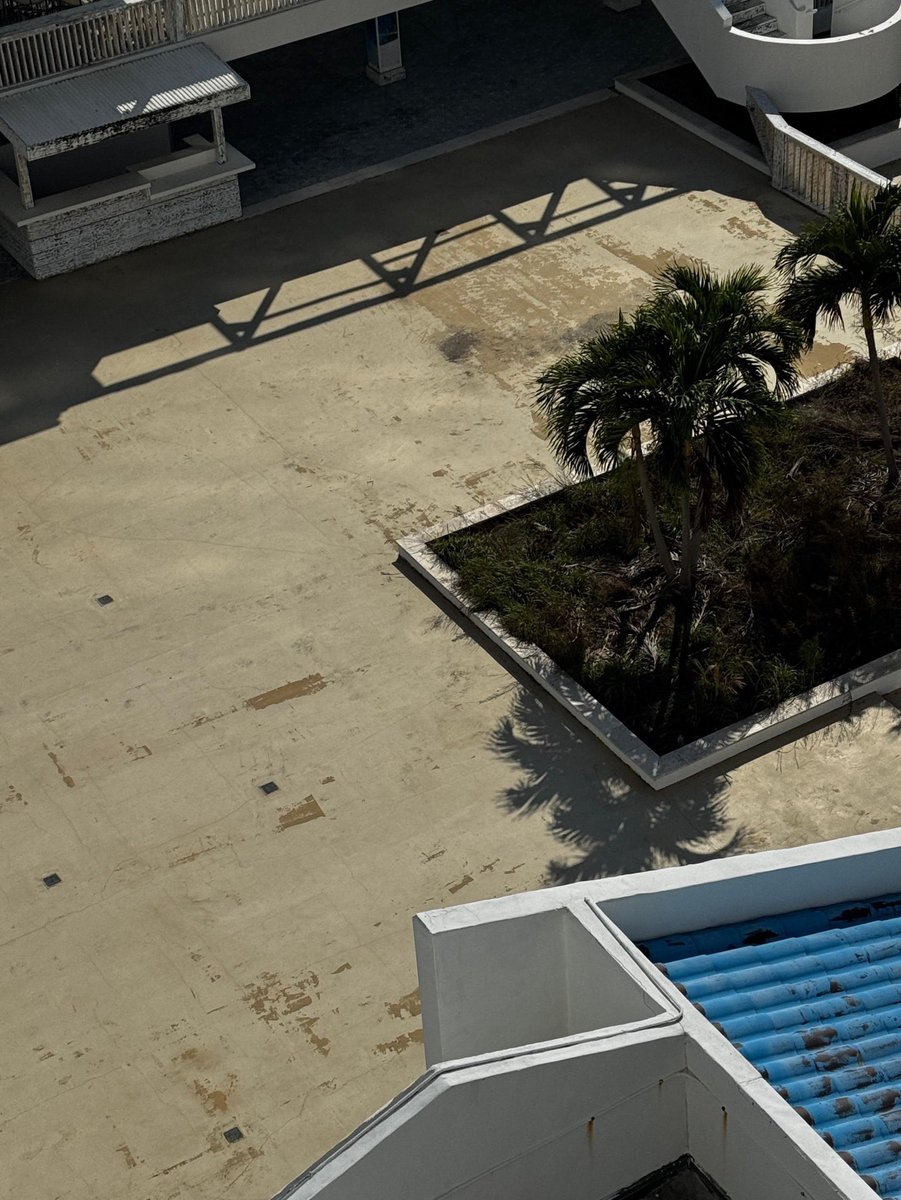 MT official tweet media