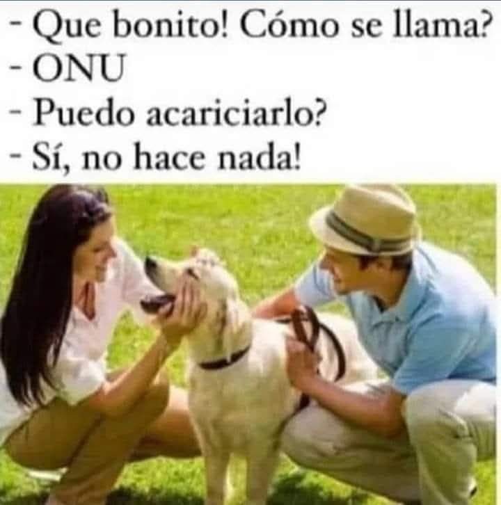 Rincón Curioso tweet media