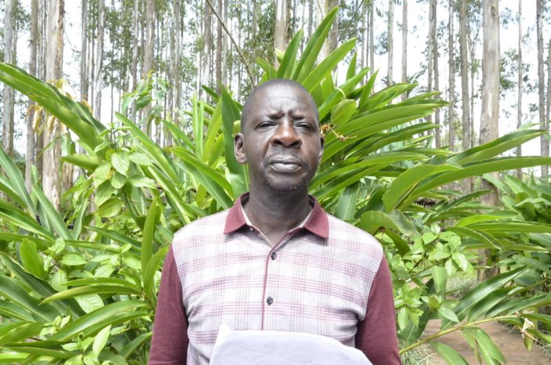 ChimpReports tweet media